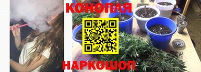 сатива Нарткала
