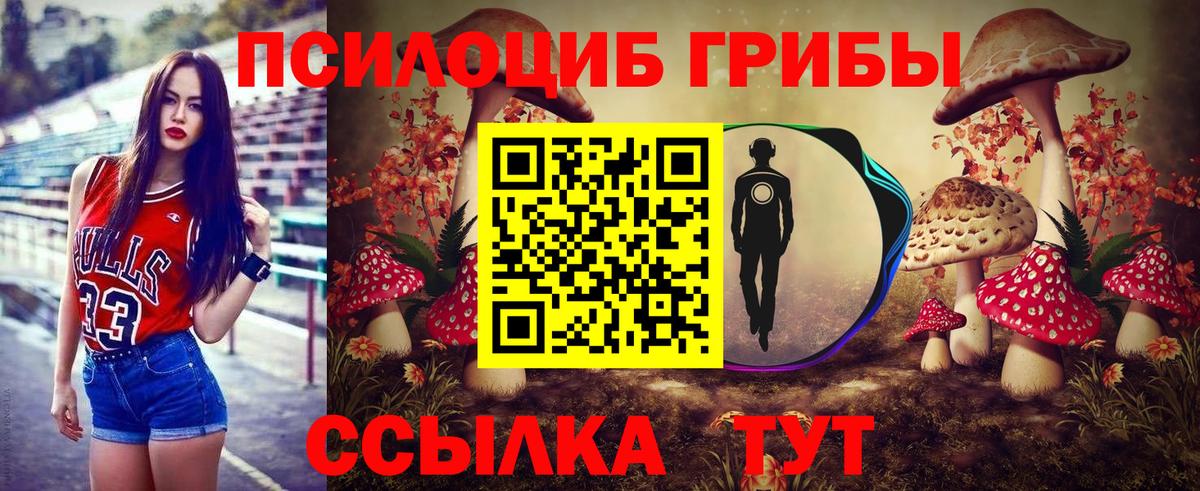 Псилоцибиновые грибы Psilocybe  Вход с VPN  Астрахань 