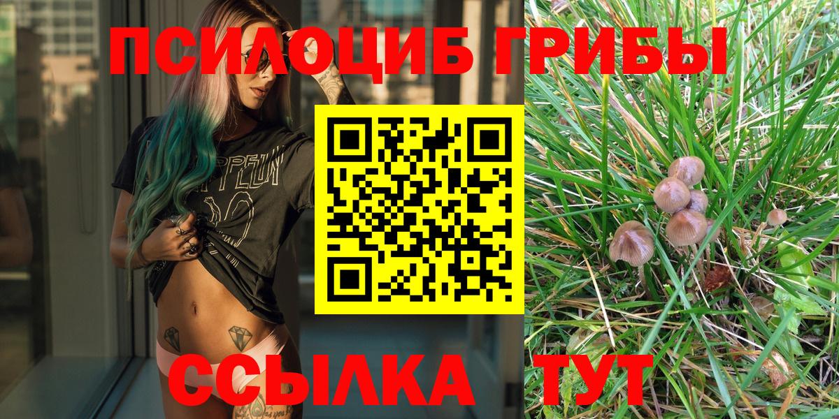 Галлюциногенные грибы Psilocybe Астрахань
